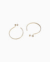 Fann! Gold Hoop Earrings Calliophis